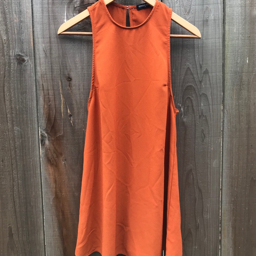 American Apparel Rust Shift Dress